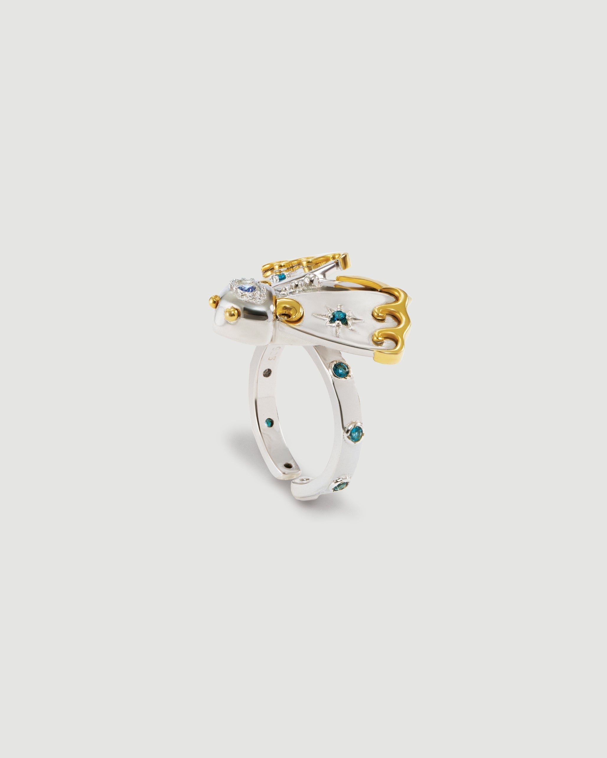 The Moth of Jakhama Ring
