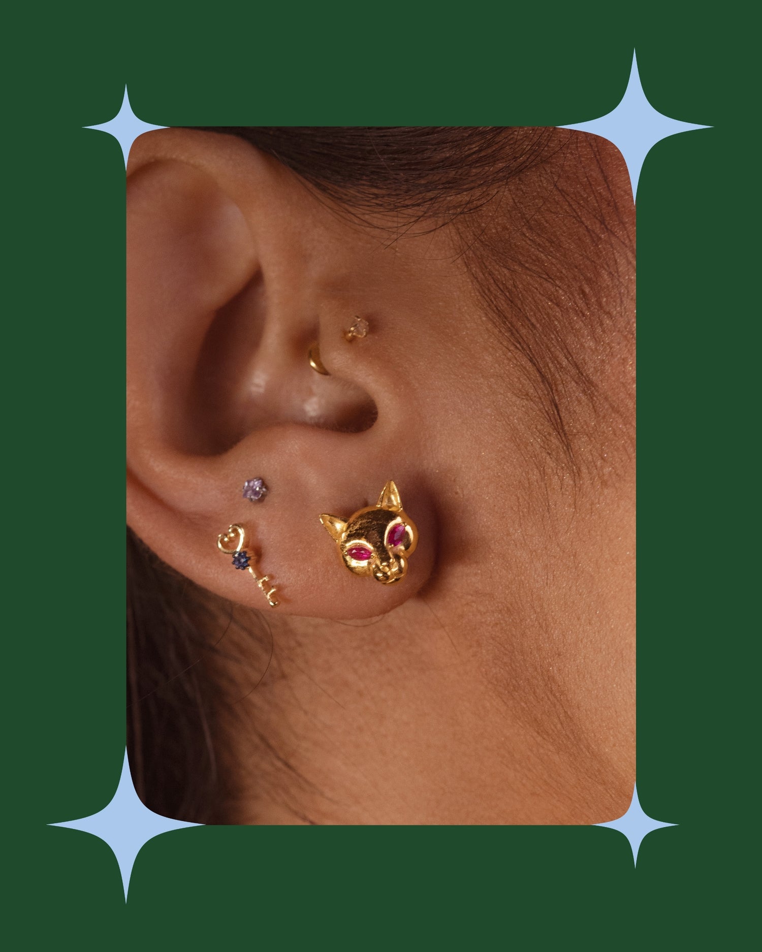 Felis Studs