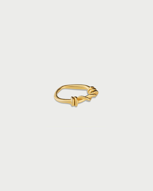 The Twisted Bread Ring