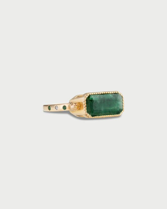 The Maharaja’s Odyssey Ring