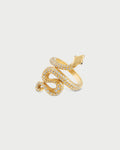 The Renewal Ring