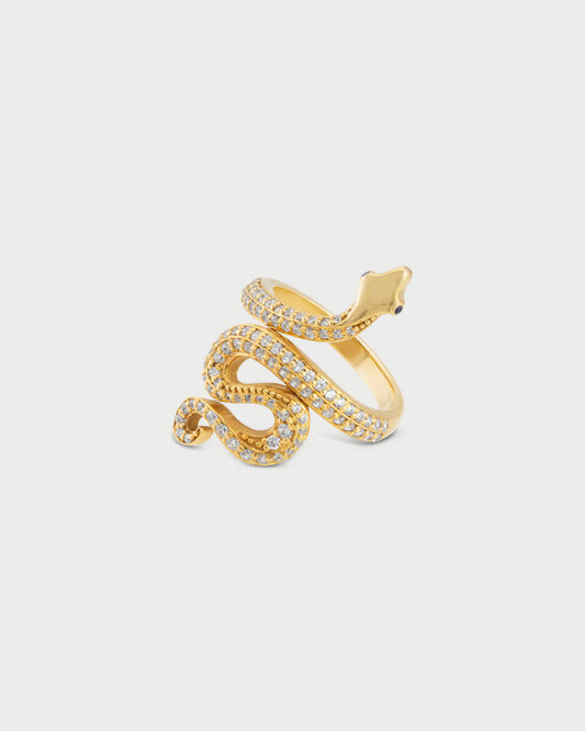 The Renewal Ring
