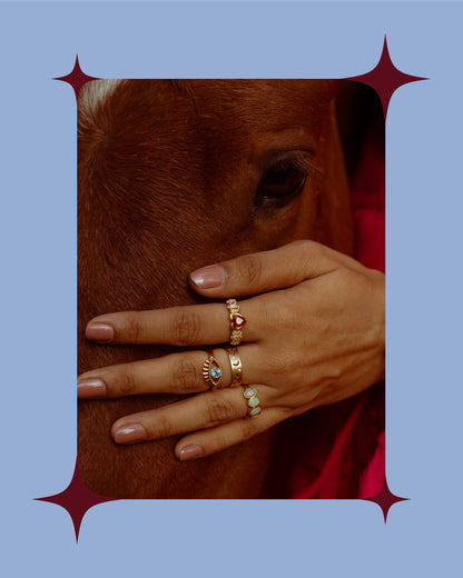 The Bright Night Ring